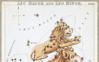 Constellation Leo in astronomy, astrology and legends Leo astronomy