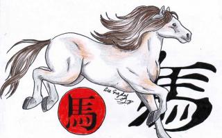 Ovan rođen u godini Konja: horoskop i karakteristike horoskopskog znaka Ovan u godini vatrenog konja